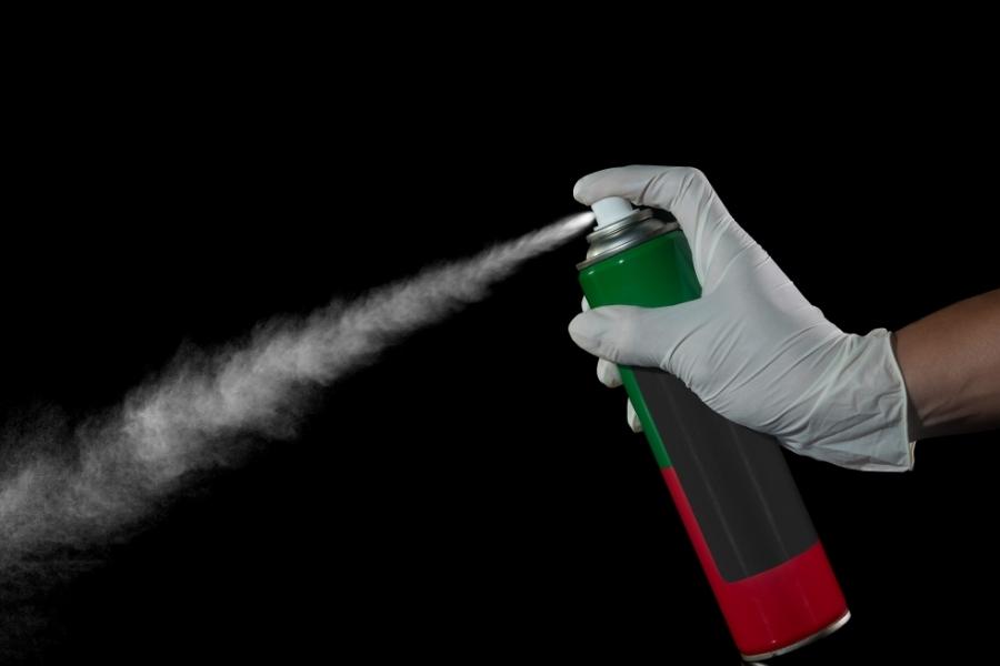 Spray for Bed Bug