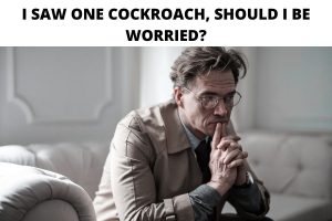 I SAW ONE COCKROACH, SHOULD I BE WORRIED?