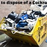 how to dispose of a cockroach