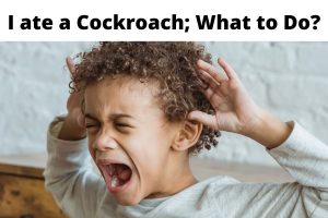 I ate a Cockroach; What to Do?