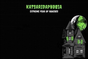 Katsaridaphobia