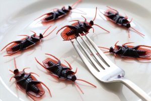 how long can a cockroach survive in a microwave