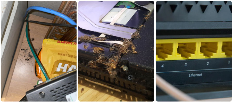 An image showing infested routers with roaches and how can roaches hide in them