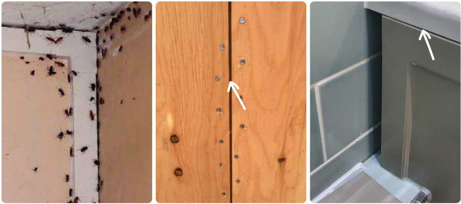 An image showing gaps between wall panels where roaches can hide