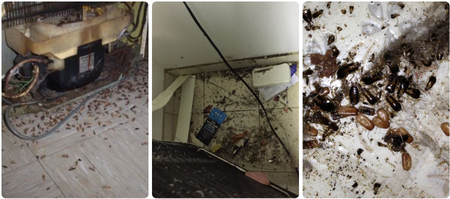 An image showing behind refrigerator where roaches can hide and nest