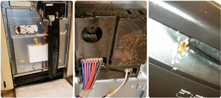 An image showing infested dishwashers with roaches and places where roaches can hide