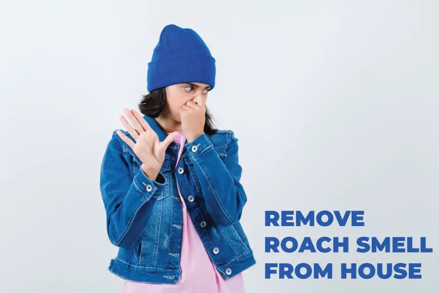 How to Get Rid of Roach Smell in Your House?