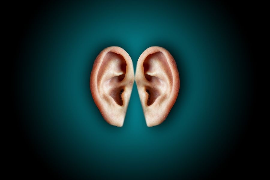 Can cockroach hear?