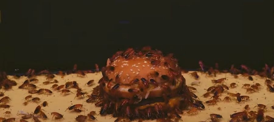 cockroach eating burger