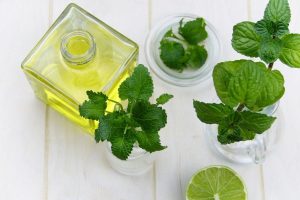 Peppermint Oil for Bugs