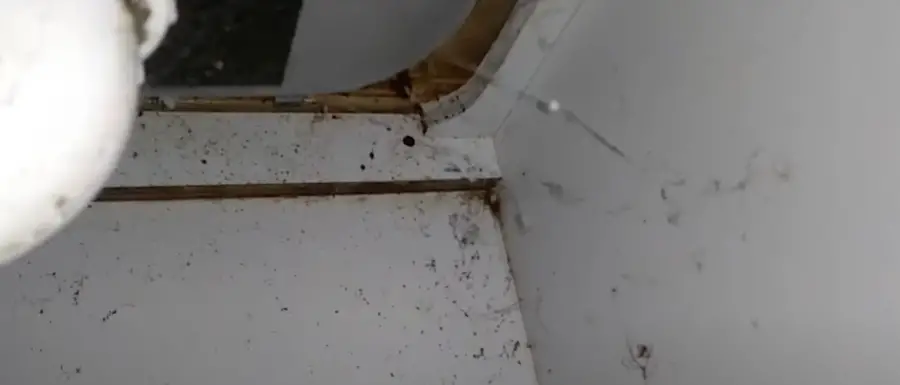An image showing roach poop marks under sink in kitchen
