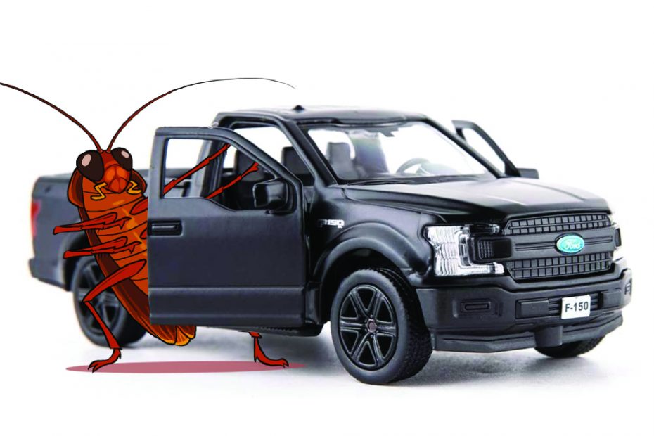 Roach getting in a car