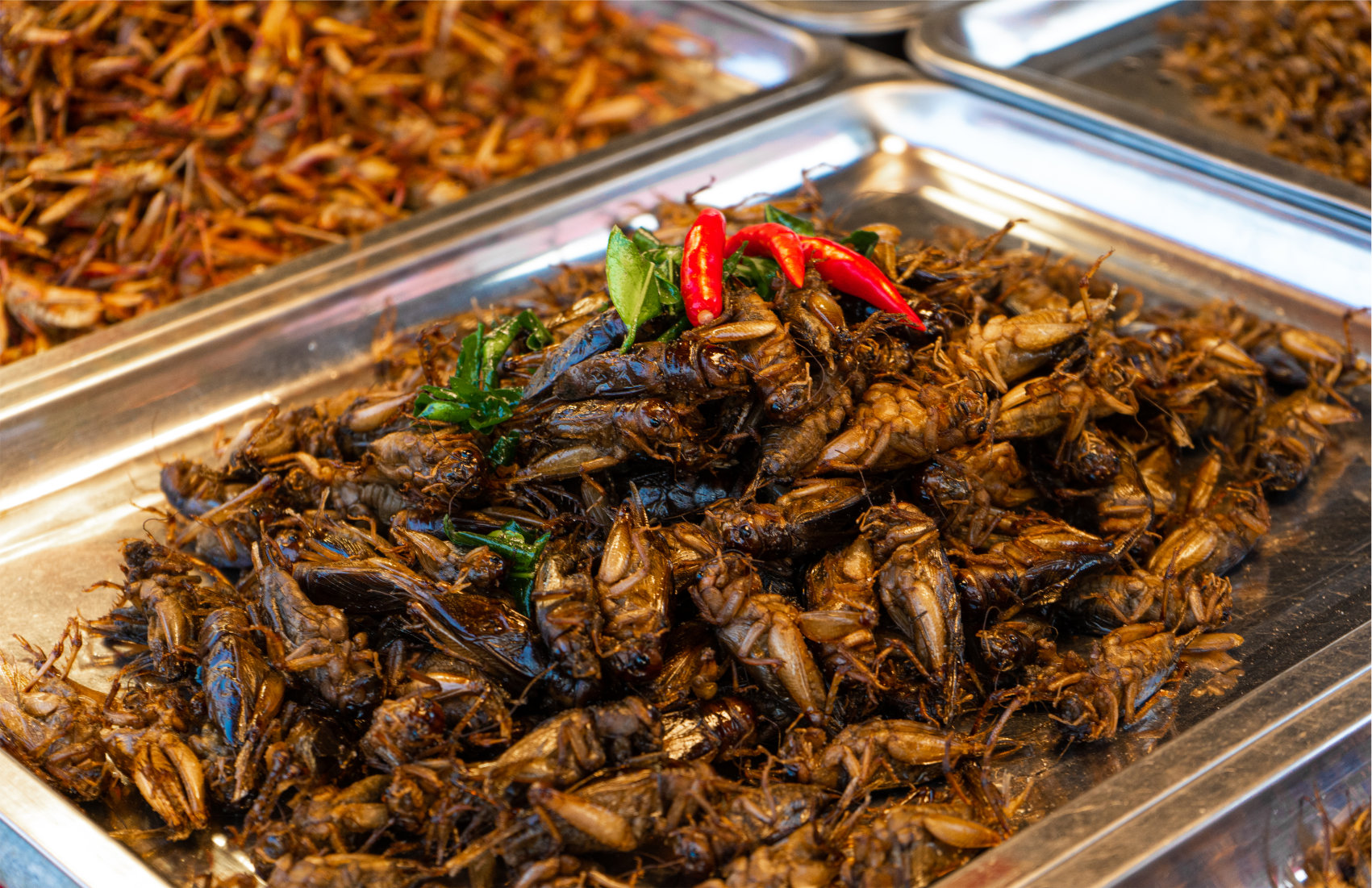 An image of fried cockroaches ready to be served