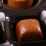Are there Cockroaches in Chocolate? (Its SAFE, No Worries)