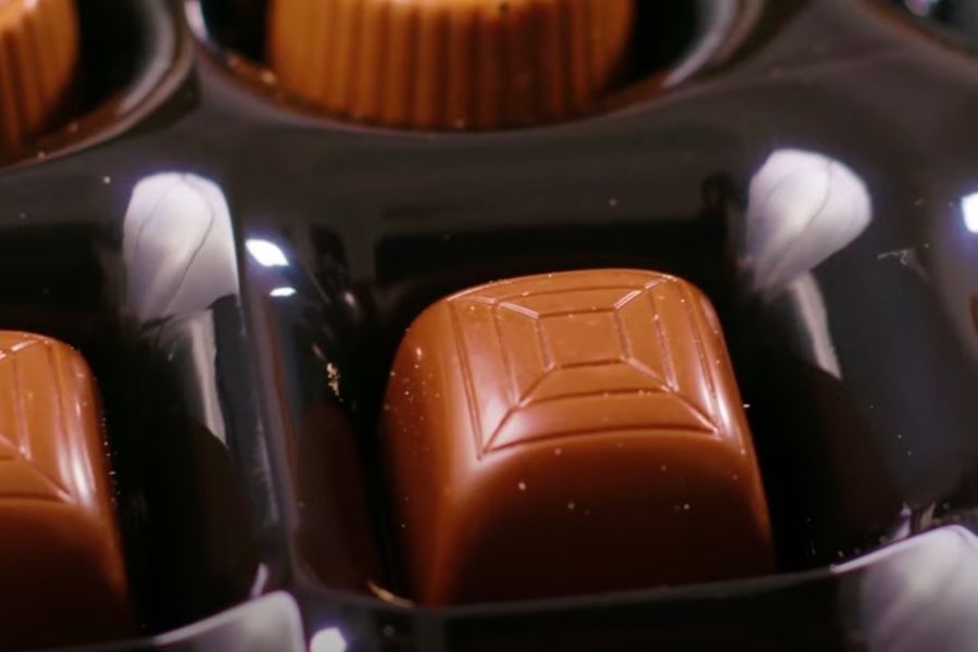 Are there Cockroaches in Chocolate?