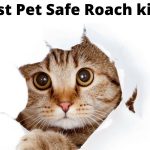 5 Best Pet Safe Roach killers