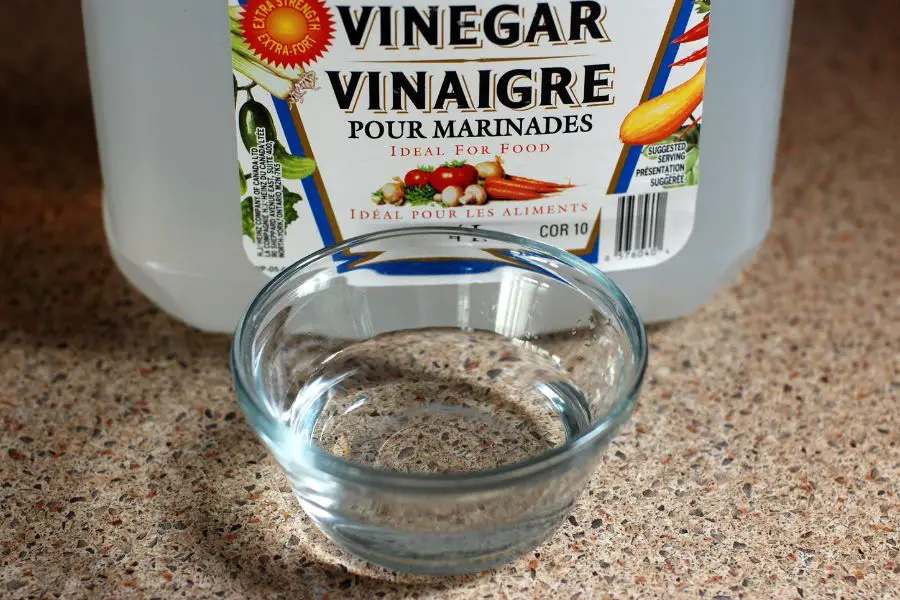 Does vinegar kill Cockroaches?