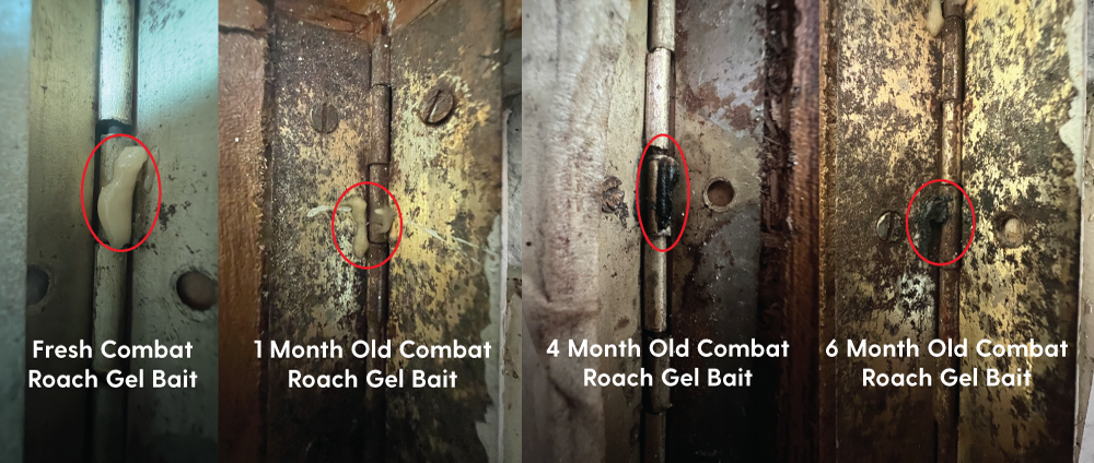 How Long Does Combat Roach Bait Gel Last?