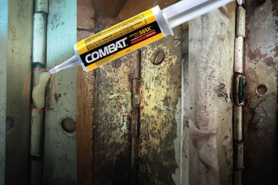 How Long Does Combat Roach Bait Gel Last? [Check HERE] APB