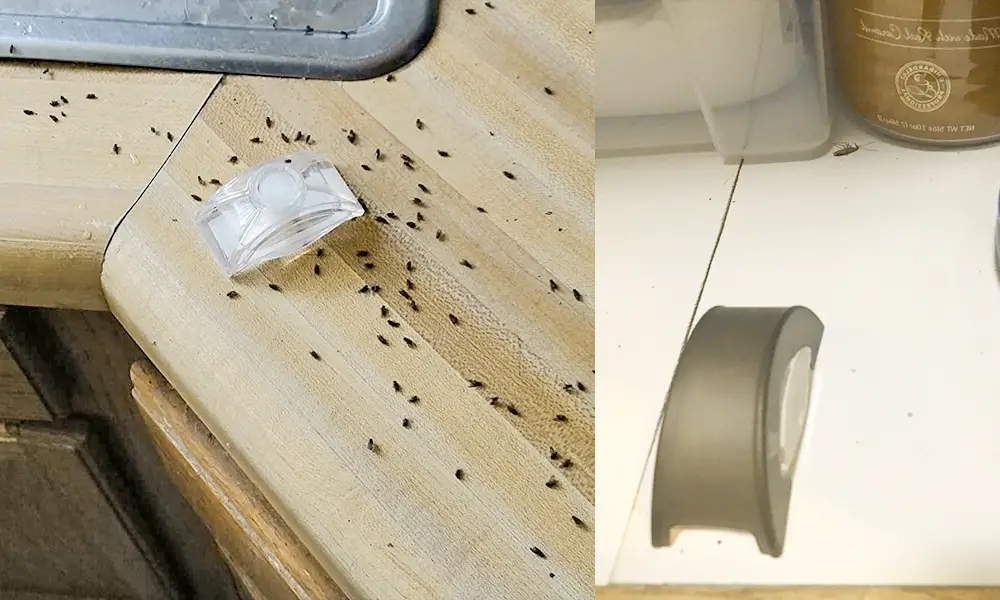 Hot Shot Roach Killing Bait Stations